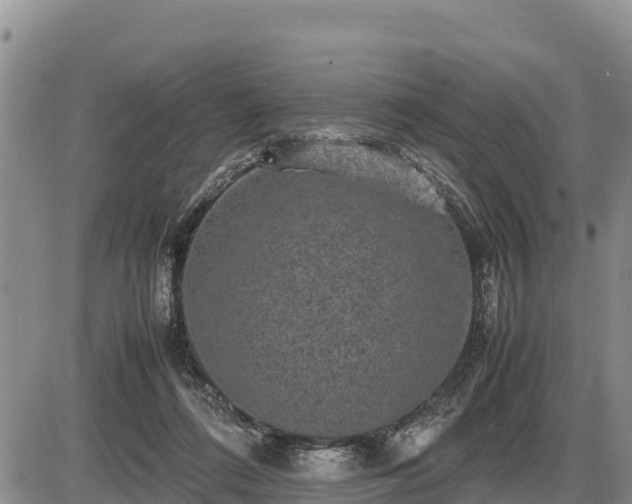 X0000087420312200704271744