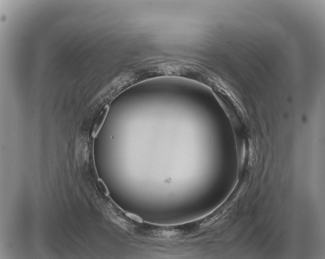 X0000087420313200704271744