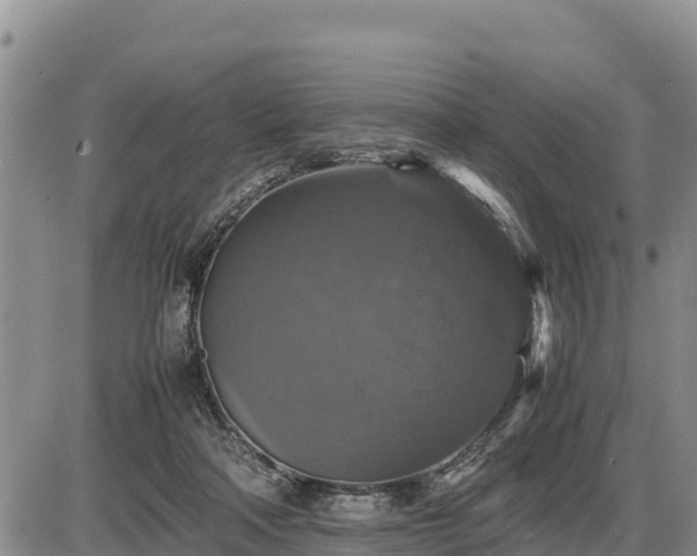 X0000087420314200704271744