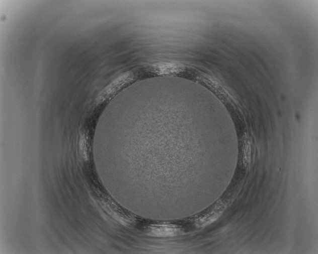 X0000087420316200704271744