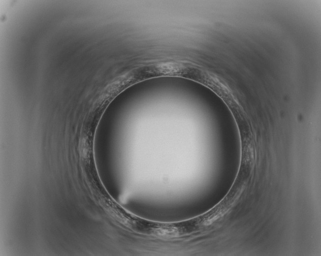 X0000087420317200704271744