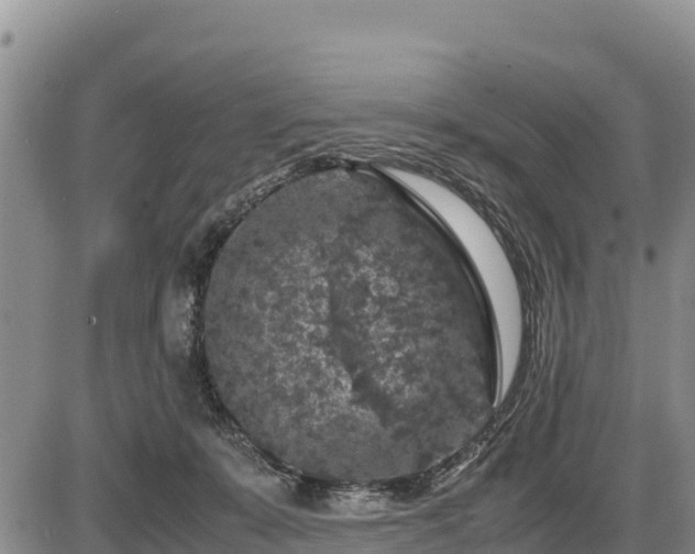 X0000087420319200704271744