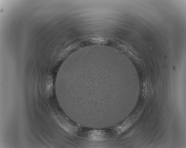 X0000087420320200704271743