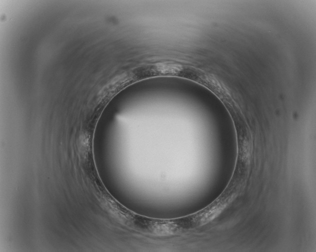 X0000087420321200704271743