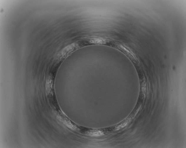 X0000087420322200704271743