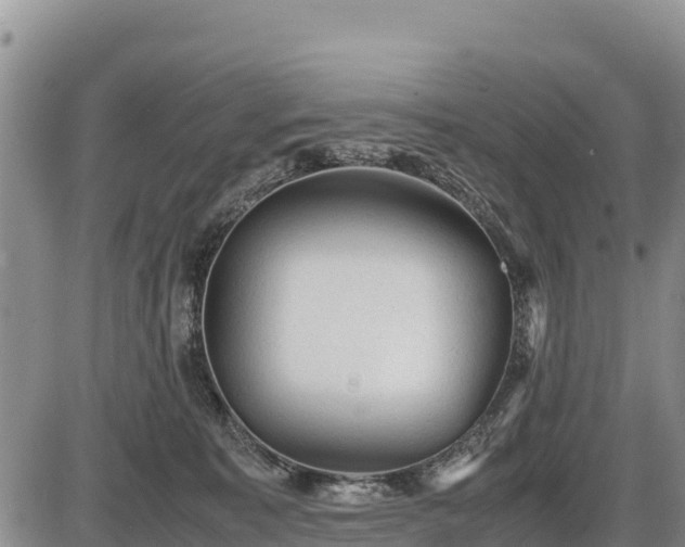 X0000087420323200704271743