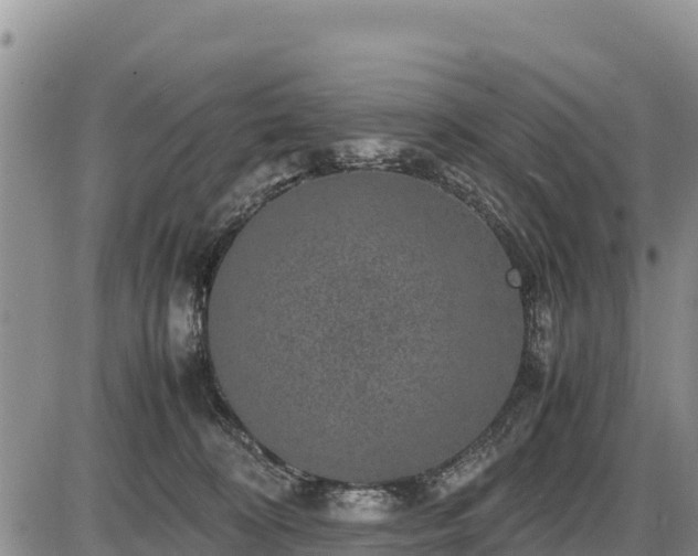 X0000087420324200704271743