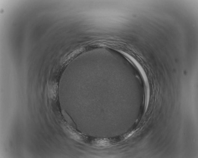 X0000087420325200704271743