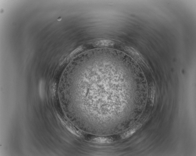 X0000087420326200704271743