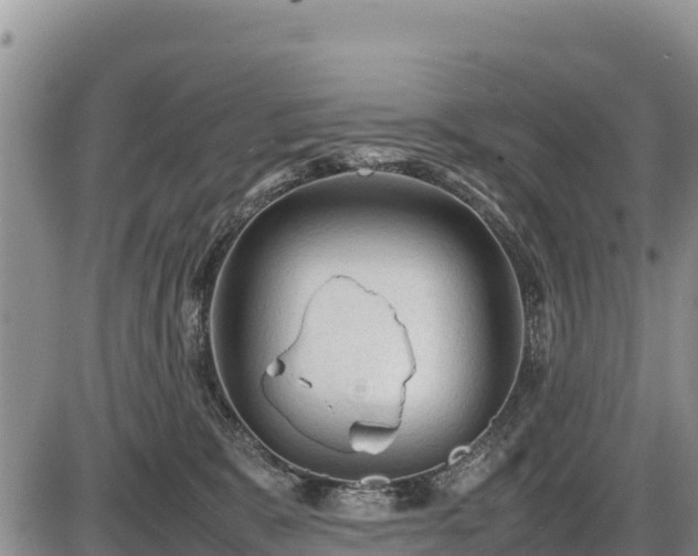 X0000087420327200704271743