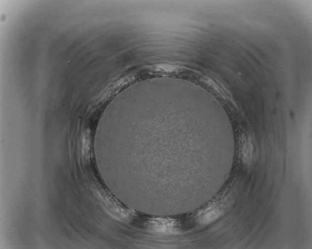 X0000087420328200704271743