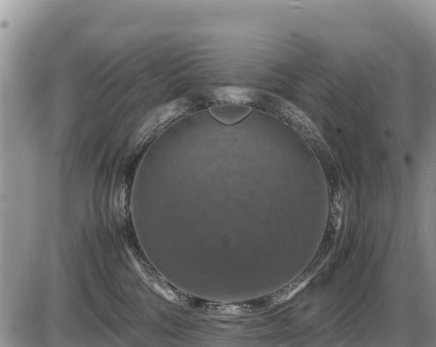 X0000087420330200704271743