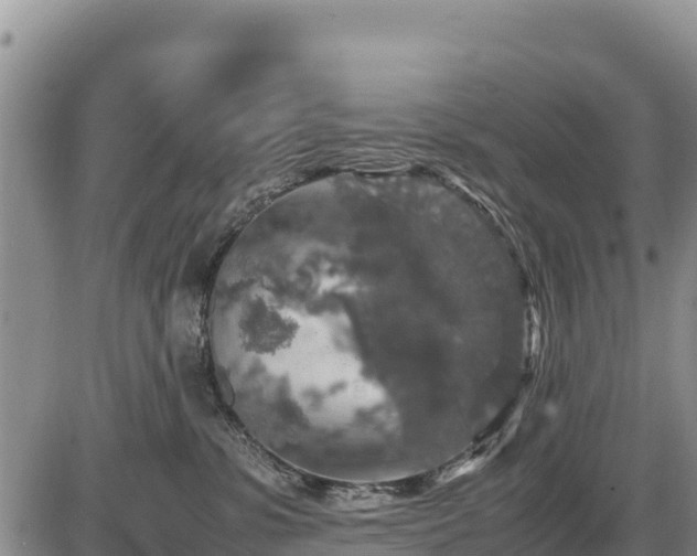 X0000087420331200704271743