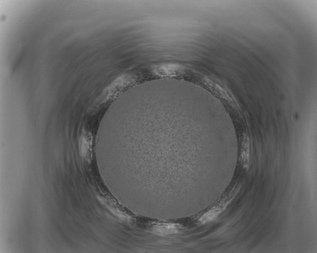 X0000087420332200704271743