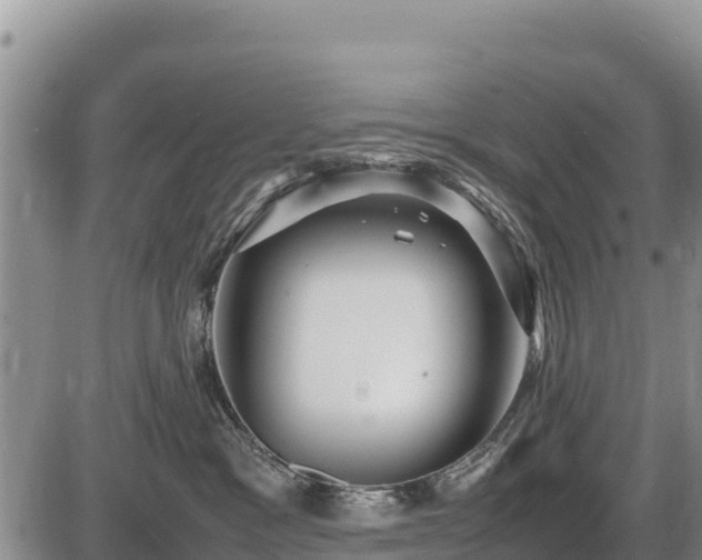 X0000087420333200704271743