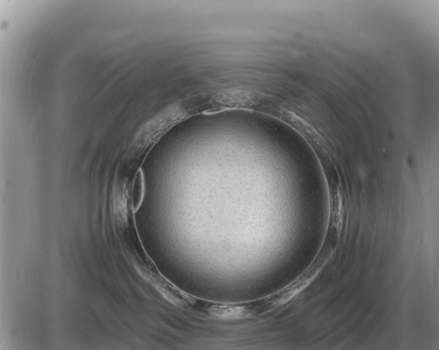 X0000087420334200704271743