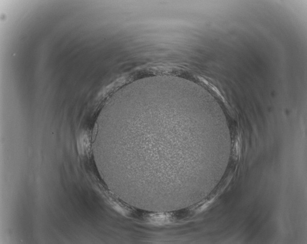 X0000087420335200704271743