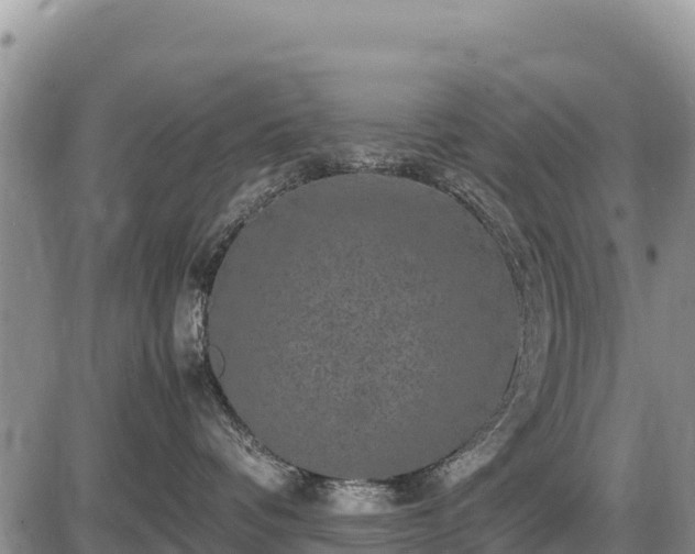 X0000087420336200704271743