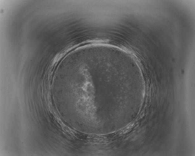 X0000087420337200704271742