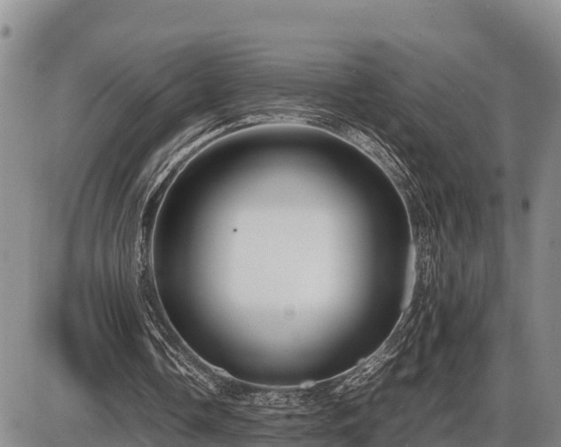 X0000087420338200704271742