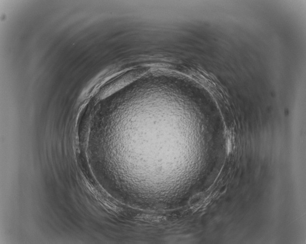 X0000087420339200704271742