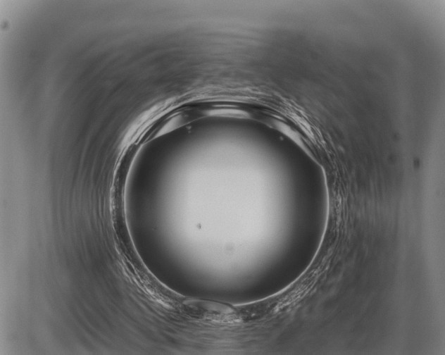 X0000087420340200704271742