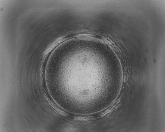 X0000087420341200704271743