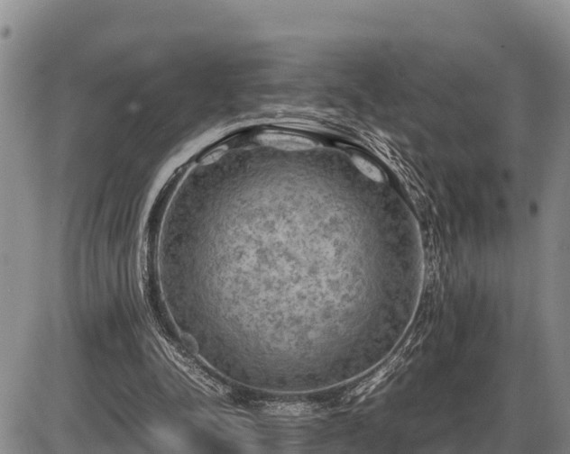 X0000087420342200704271743