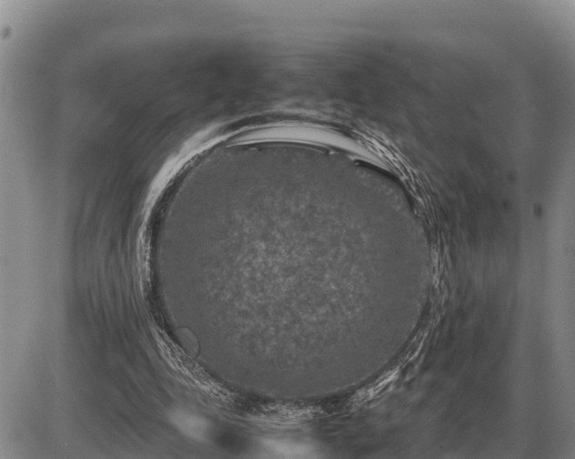 X0000087420343200704271743