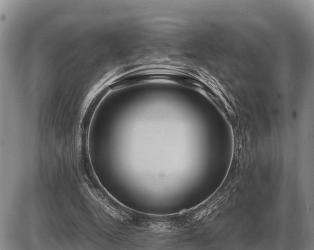 X0000087420344200704271743