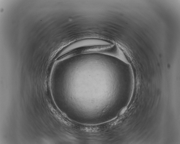 X0000087420345200704271743