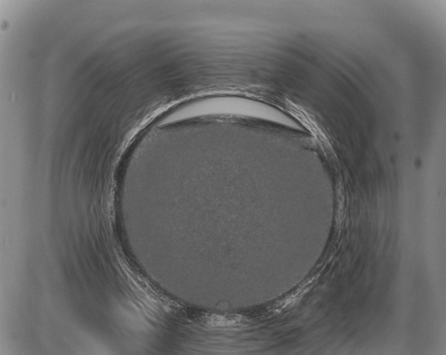 X0000087420346200704271743