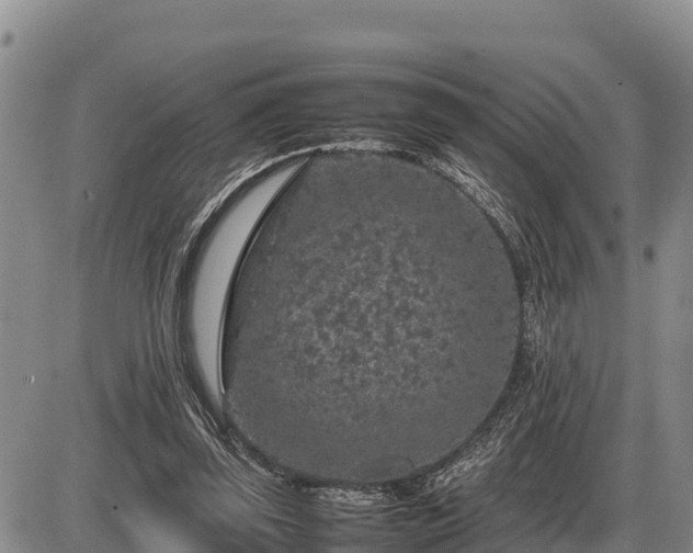 X0000087420347200704271743