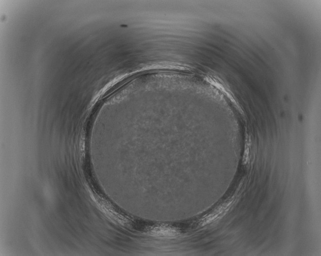 X0000087420348200704271743