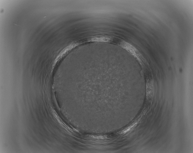 X0000087420349200704271743