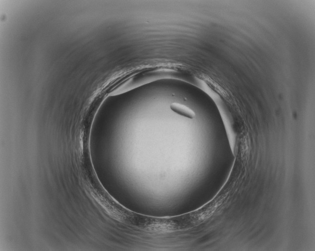 X0000087420350200704271743