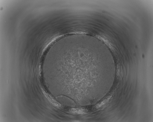 X0000087420351200704271743