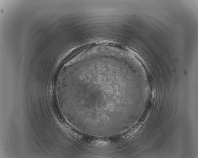 X0000087420352200704271743