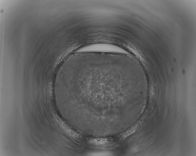 X0000087420353200704271743