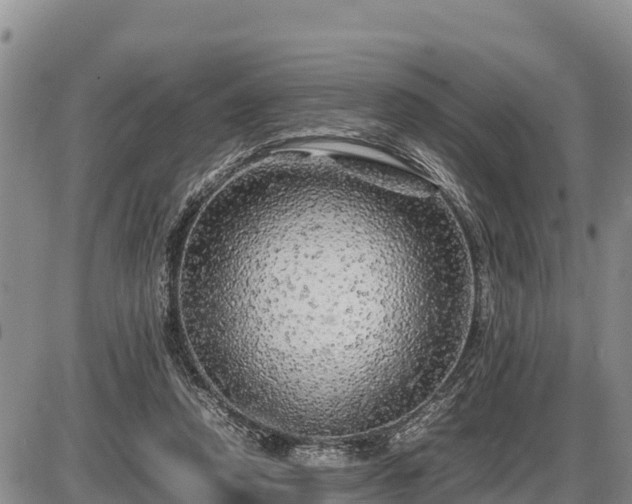 X0000087420354200704271743