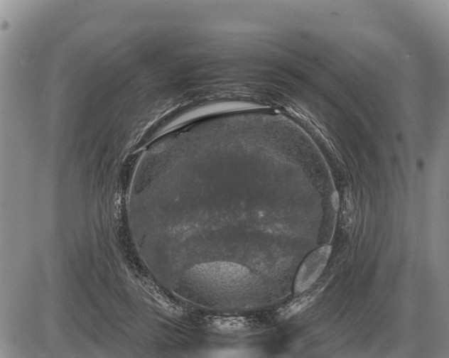 X0000087420355200704271743