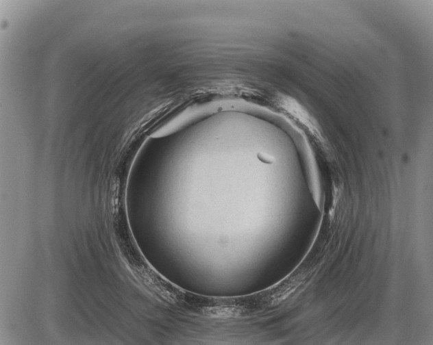 X0000087420356200704271743