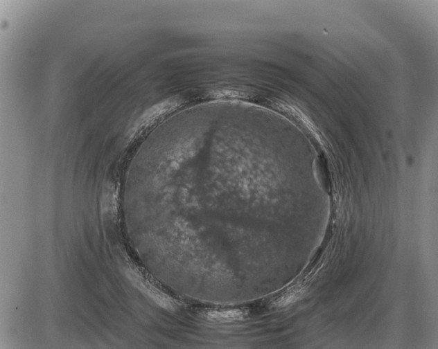 X0000087420357200704271743