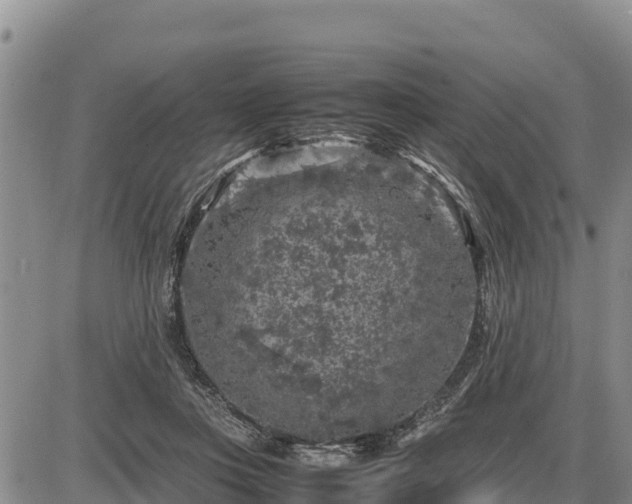 X0000087420359200704271743