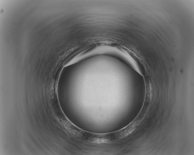 X0000087420360200704271743