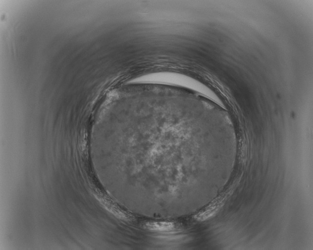 X0000087420361200704271743