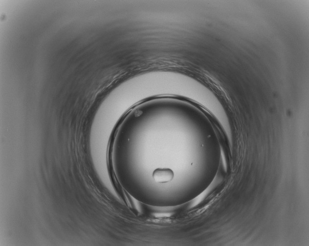 X0000087420362200704271743