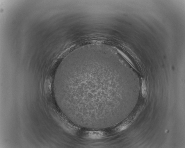 X0000087420363200704271743