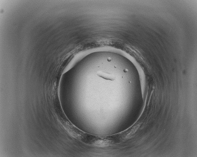 X0000087420364200704271743