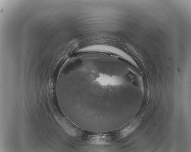 X0000087420366200704271743